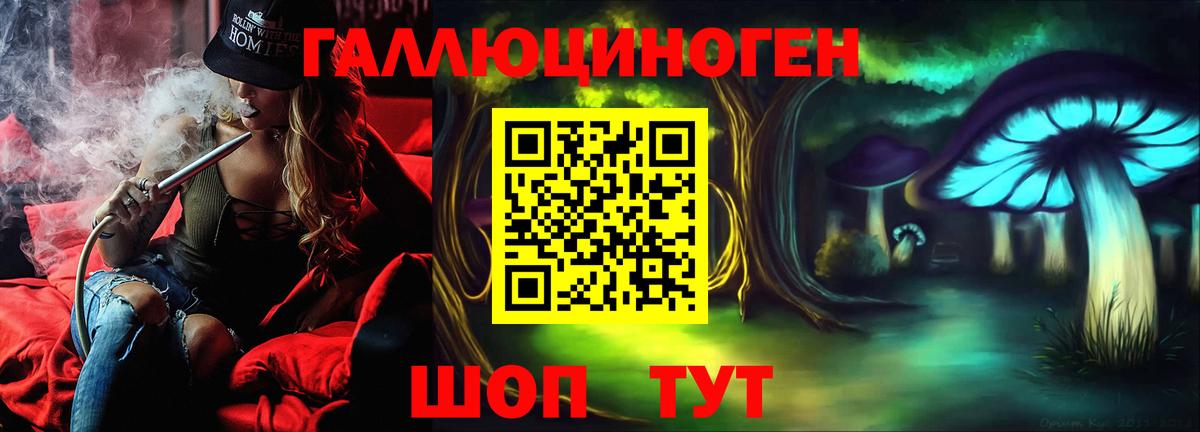 Псилоцибиновые грибы Psilocybine cubensis  Вход с VPN  Ялуторовск 
